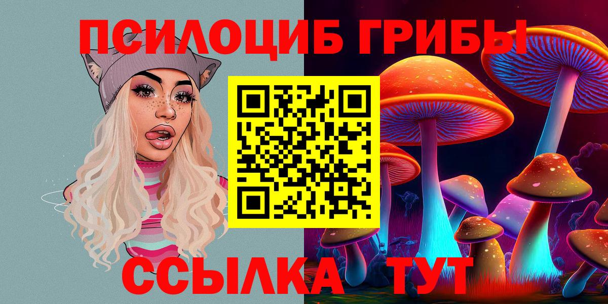 Галлюциногенные грибы Cubensis  закладки  Ишим  Вход с VPN 